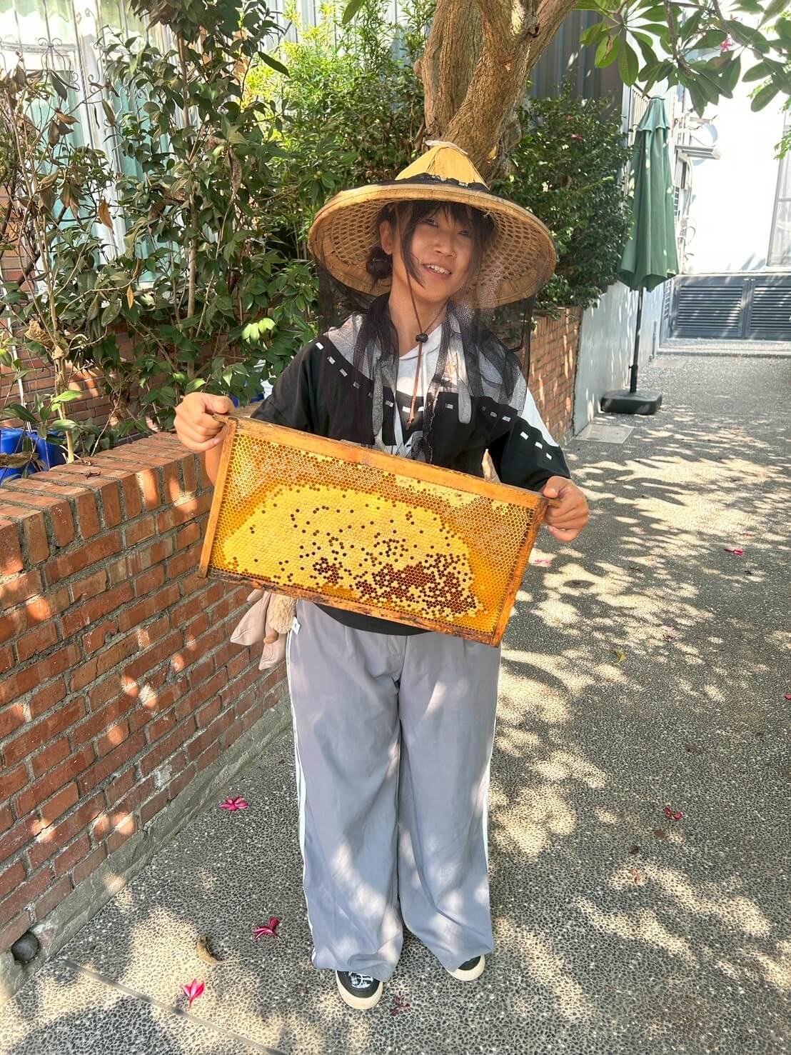 蜜蜂生態導覽體驗|愛蜂園近距離接觸蜂箱、生態解說、採蜜DIY,親子旅遊必訪行程 - 第4張圖