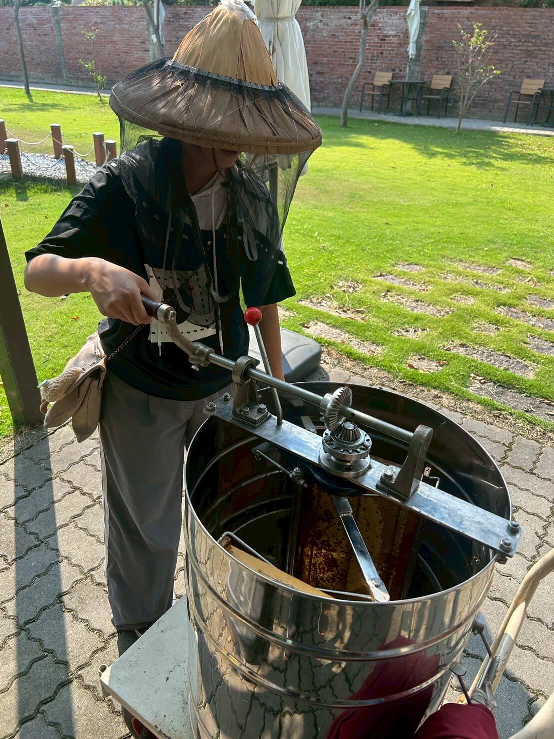 蜜蜂生態導覽體驗|愛蜂園近距離接觸蜂箱、生態解說、採蜜DIY,親子旅遊必訪行程 - 第11張圖