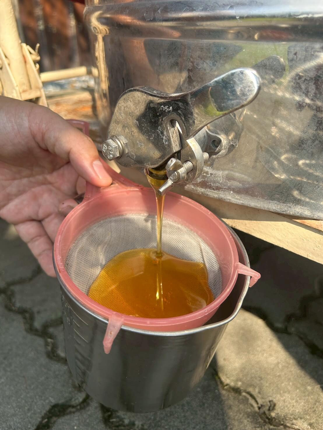 蜜蜂生態導覽體驗|愛蜂園近距離接觸蜂箱、生態解說、採蜜DIY,親子旅遊必訪行程 - 第13張圖