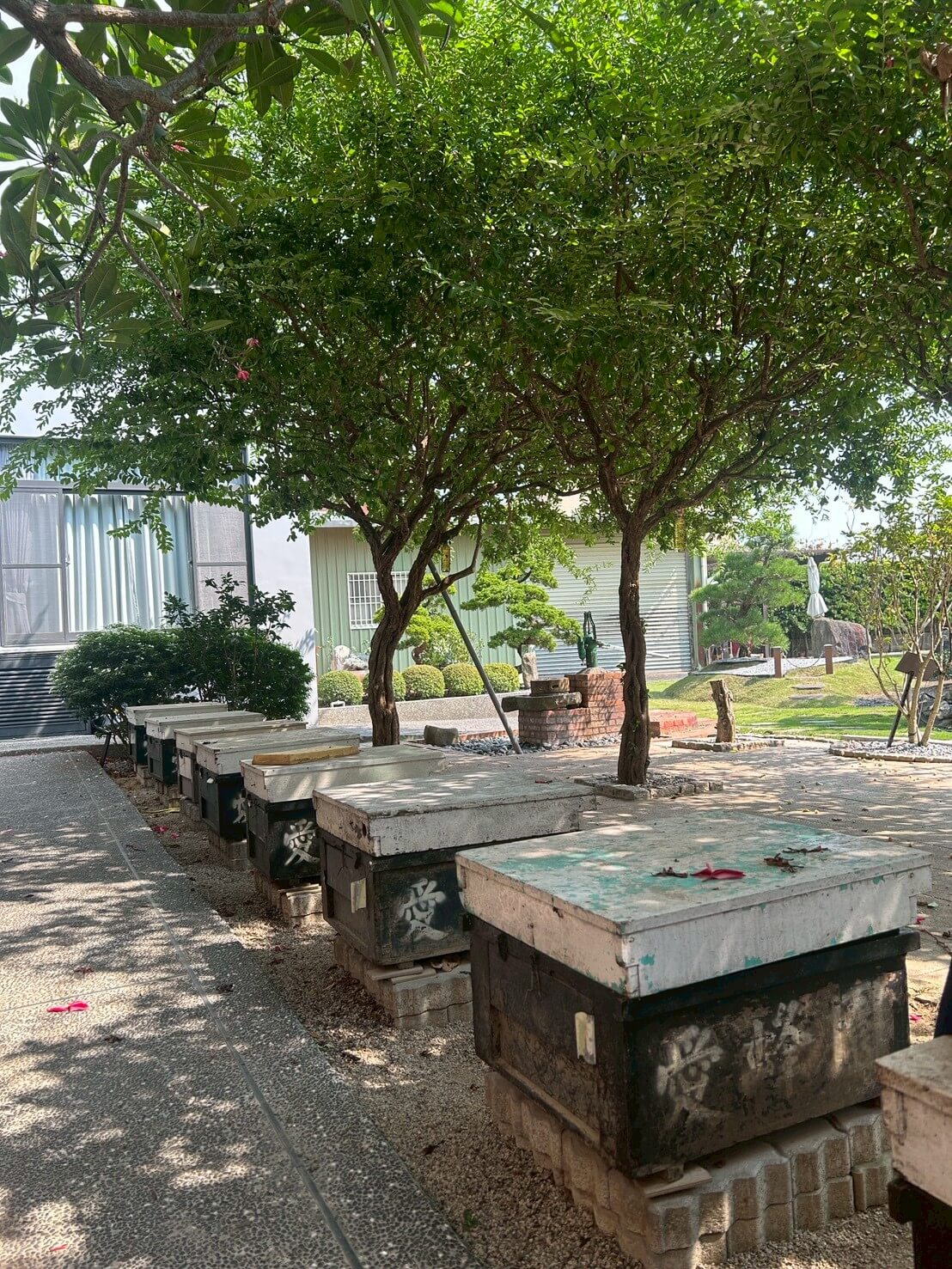 蜜蜂生態導覽體驗|愛蜂園近距離接觸蜂箱、生態解說、採蜜DIY,親子旅遊必訪行程 - 第8張圖